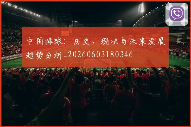 中国排球：历史、现状与未来发展趋势分析_20260603180346