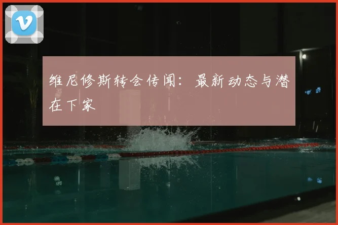 维尼修斯转会传闻:最新动态与潜在下家